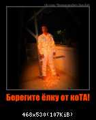 Берегите ёлку от коТА!