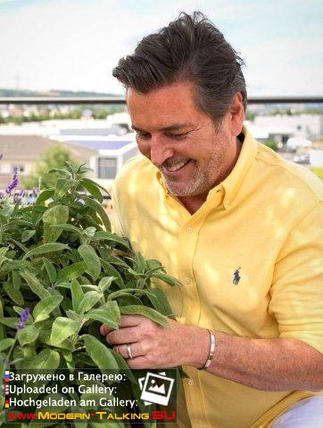 Thomas Anders кулинария (разное)