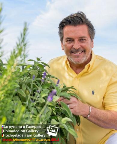 Thomas Anders разное