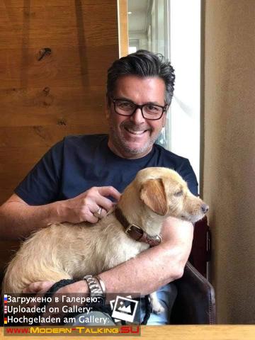 Thomas Anders разное