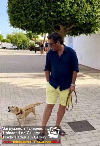 Thomas Anders разное