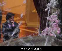 Томас Андерс (145)