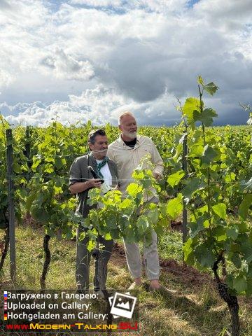 5 лет – ANDERS WEINE Weingut St Antony