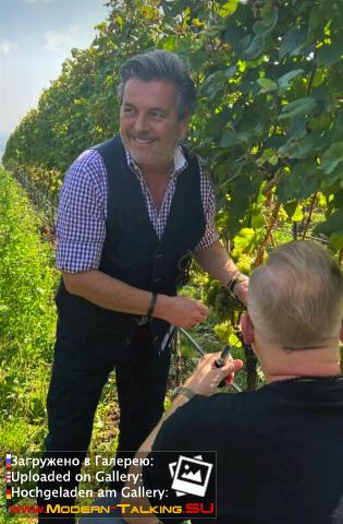 Thomas Anders вино (разное)