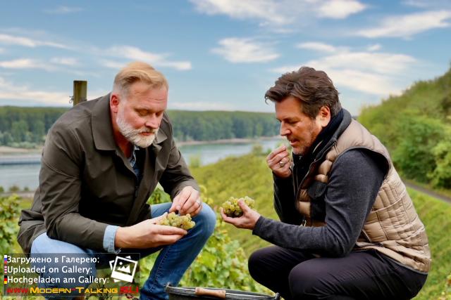 Thomas Anders вино (разное)