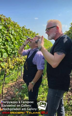 Thomas Anders вино (разное)