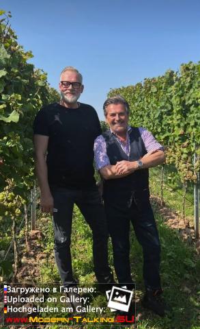 Thomas Anders вино (разное)