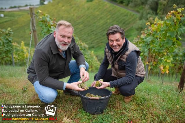 Thomas Anders вино (разное)