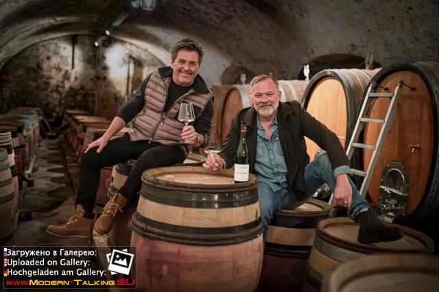 Thomas Anders вино (разное)