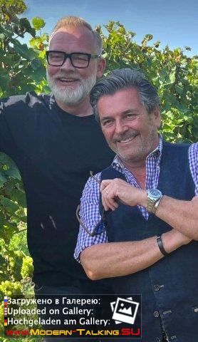 Thomas Anders вино (разное)