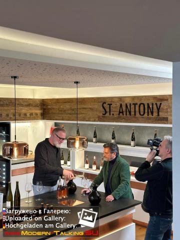 Thomas Anders вино (разное)