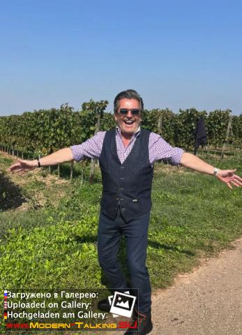 Thomas Anders вино (разное)