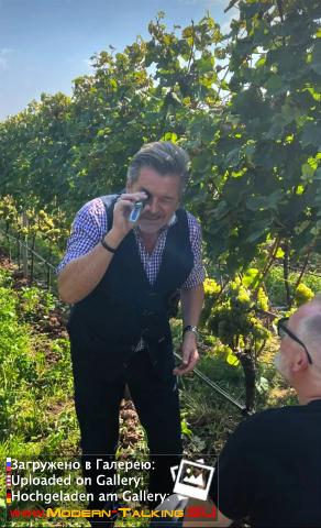 Thomas Anders вино (разное)