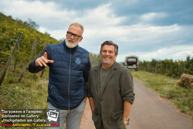 Thomas Anders вино (разное)