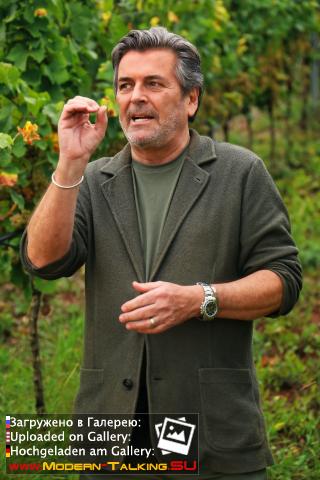 Thomas Anders вино (разное)