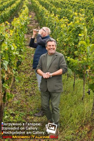 Thomas Anders вино (разное)