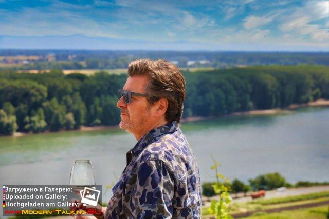 Thomas Anders вино (разное)