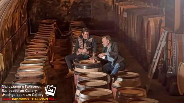 Thomas Anders вино (разное)