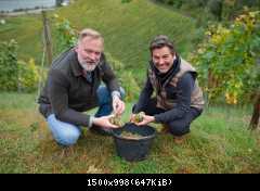 Thomas Anders вино (разное)