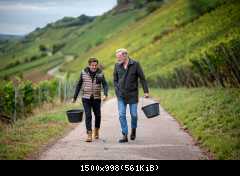 Thomas Anders вино (разное)