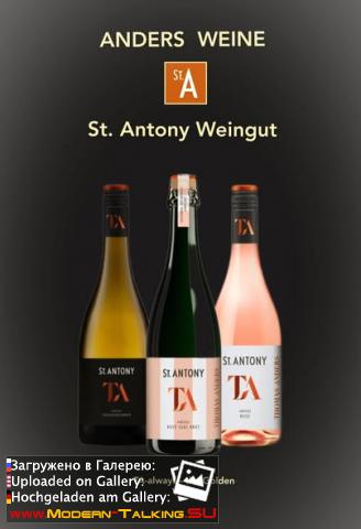 Томас Андерс "Мир гастрономии и вина Томаса Андерса"