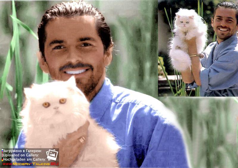 Томас Андерс 90е (439)