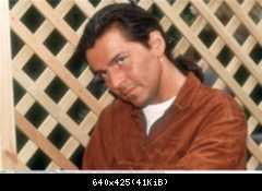 Томас Андерс 90е (503)