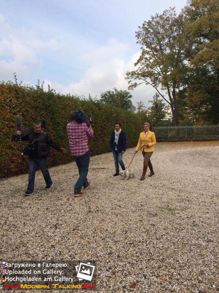 RTL в гостях HOME & DOGS