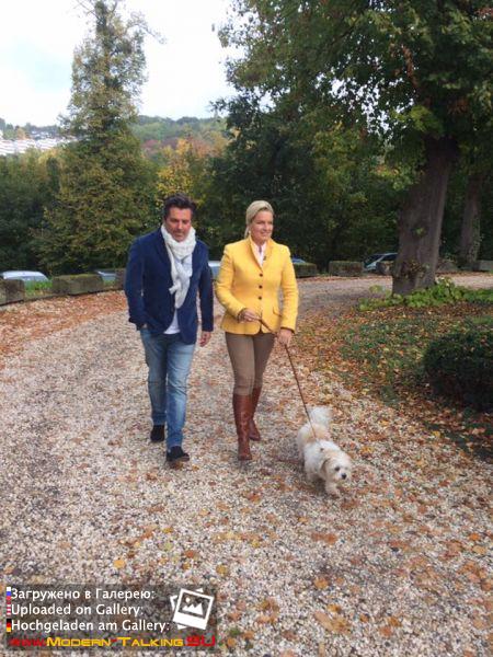 RTL в гостях HOME & DOGS