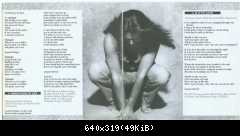 Томас Андерс пресса (172)