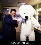 Томас Андерс фото (33)