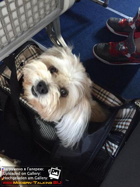 Томас Андерс с семьей