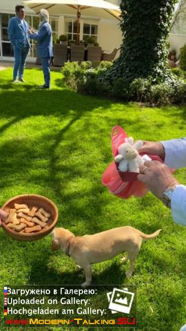 Томас Андерс с семьей (пасха 2022)