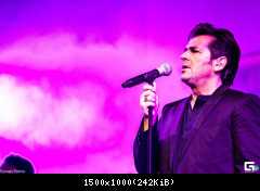 Томас Андерс (217)