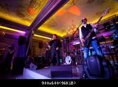 Томас Андерс выступления (204)